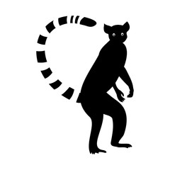 Lemur black sealeet. Exotic tropical animal on a white isolated background. Cute funny lemur with a striped tail. Vector stock illustration in cartoon style. © Lapalovee