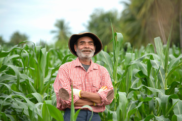 Portrait face farmer asia senior standing smiling