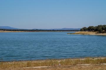 Fototapeta na wymiar view of the river in the summer