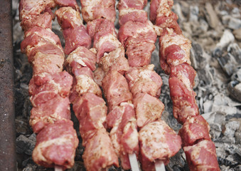 Barbecue on the coals. Grilled meat on a spit.