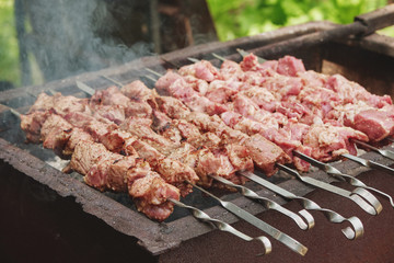 Barbecue on the coals. Grilled meat on a spit.