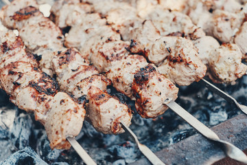 Barbecue on the coals. Grilled meat on a spit.