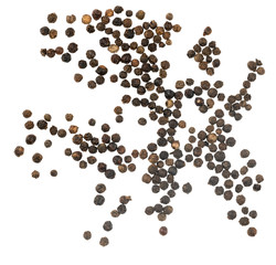 Black peppercorns isolated on white background