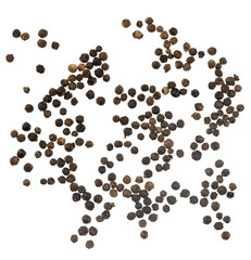 Black peppercorns isolated on white background