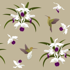 Fototapeta na wymiar Seamless vector illustration with orchids and hummingbirds