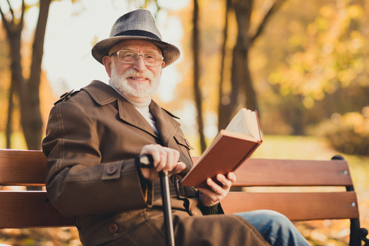 Photo of positive old man enjoy reading knowledge book story in fall nature town center park sit bench hold walk stick wear jacket cap headwear