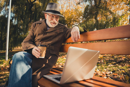 Photo Of White Grey Hair Old Man Enjoy October Fall Rest Nature Park Relax Sit Bench Watch Modern Movie Laptop Hold Drink Takeaway Coffee Mug Wear Cap Hat Headwear Coat Jacket