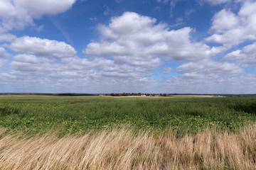 Obraz premium Agricultural land in Seine et Marne country