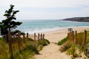 Fototapeta na wymiar sandy dunes access to sea beach in atlantic ocean in France