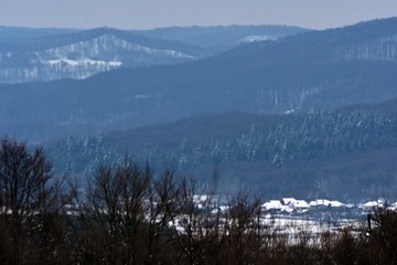 a house in the forest during winter season