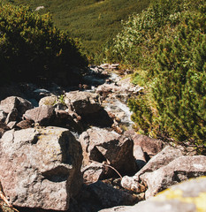 Water flowing rapidly through a set of stones nicely placed in the mountain river.