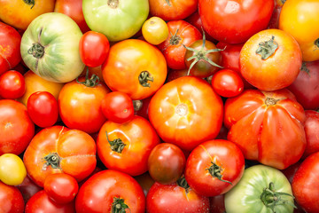 Organic assorted tomatoes background. Food backdrop