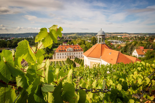 Radebeul palace Wackerbarth