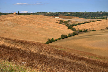 lcampos la toscana