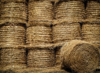 bales of hay background texture