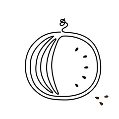 Cut in half watermelon, line art, vector