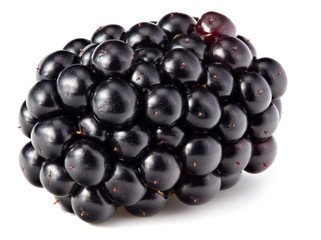 one blackberry isolated on white background. full depth of field. macro