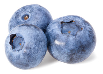 three blueberries isolated on white background. macro. full depth of field