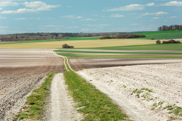 Long country road through fields, forest and sky