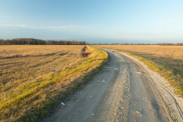 Fototapeta na wymiar A curve-shaped dirt road through meadows, sunny day
