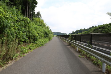 田園風景