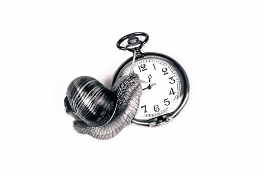 Snail climbing a clock