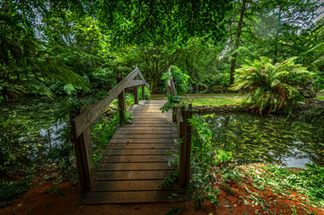 Bridge Over Green Pond