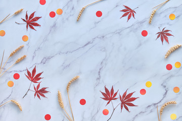 Abstract Fall seasonal background with natural Autumn maple , wheat ears and paper circle confetti. Flat lay on white marble table with copy-space.