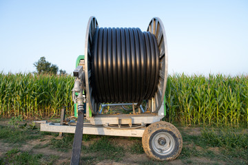 irrigation reel by the side of a maize field in france