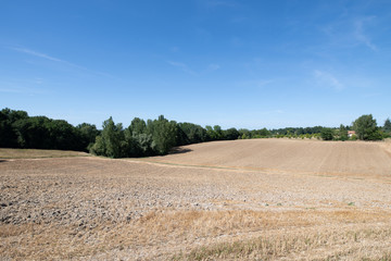 Fototapeta na wymiar an empty field in summer in france