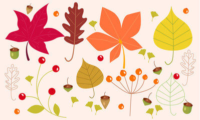 Fototapeta na wymiar Autumn leaves and berries season set. Design template. Vector illustration for web and flyers
