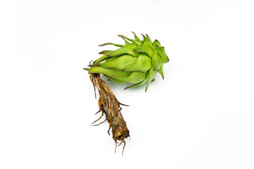 Dragon fruit (Hylocereus) isolated on white background.