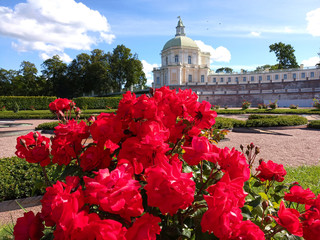 Fototapety na wymiar - Fototapeta24.pl