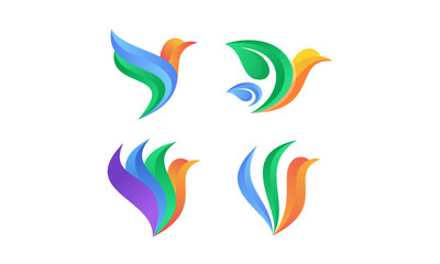 Modern bird colorful logo design vector