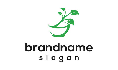 leaf pharmacy logo design vector
