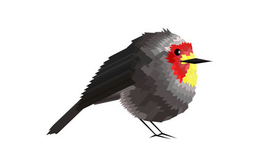 Cute bird, eye look suspicious with the body bird was designed by diamond shape or rhombus, for print or decoration, isolated on white background. Flat style.