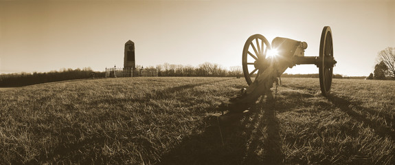 ve artillery at Manassaas