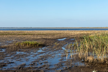 Beautiful landscape with shallow lakes and heather