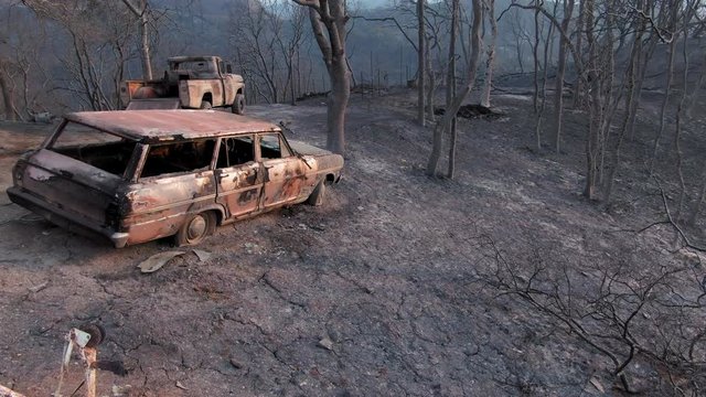 Napa, California, USA. 22 August 2020. Aerial: Burnt out cars and forest. LNU Lightning Complex Fire that ravaged the Napa, Sonoma, Lake and Solano counties.