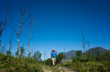 Naklejka premium Hiking in Sweden in summer. Happy man traveler trekking alone in Abisko National Park in northern Sweden. Arctic nature of Scandinavia in warm sunny day with blue sky