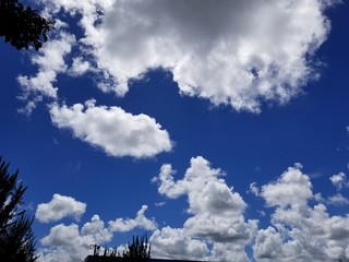 8月の青空と雲
