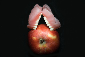 Teeth (Dental) prosthesis. Doctor Dentist, two acrylic dentures