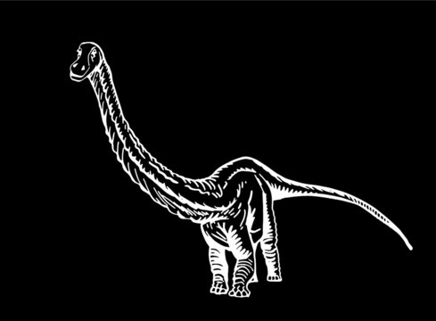 white dinosaur on black background clip art preview