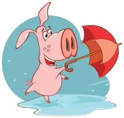 Poster Illustration eines niedlichen Cartoon-Charakter-Schweins und Regenschirms © liusa