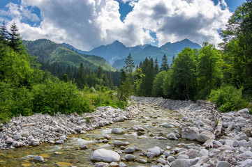 Dolina Jaworowa, Polana pod Muraniem