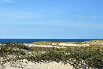 Fototapeta na wymiar Hintergrund Düne vor dem Meer