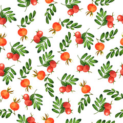 Seamless pattern with autumn wild rose berries leaves on white background. Hand drawn watercolor illustration.