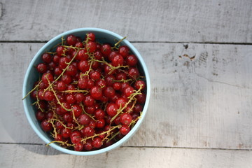Fresh Redcurrant with Leaves on Grey Wooden Background