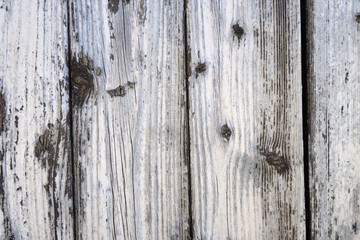 worn wooden plank panel with knots, gray wood texture background