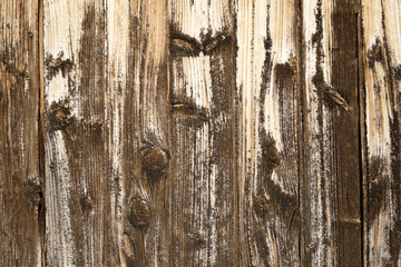 worn wooden plank panel with knots, brown wood texture background